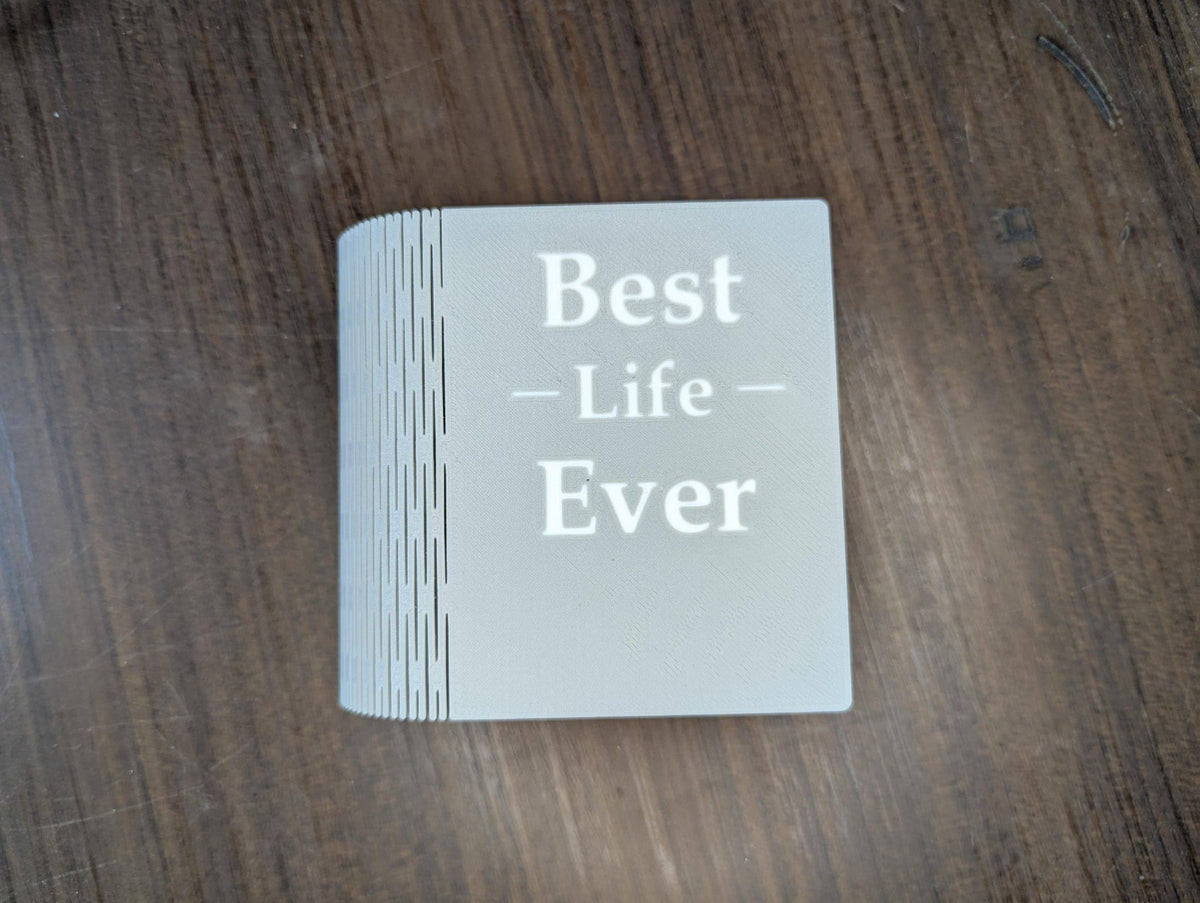 Best Life Ever Keepsake Box, JW Theocratic Gift, Book Shaped Memory Box for Baptism or Pioneer Souvenir
