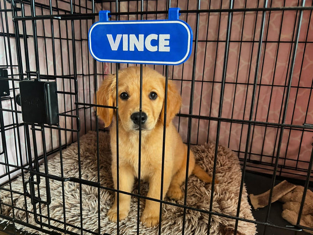 Custom Dog Crate Name Sign – Personalized Pet Kennel Tag – Clip-On Plate, shown in the main close-up listing view with its overall design visible.
