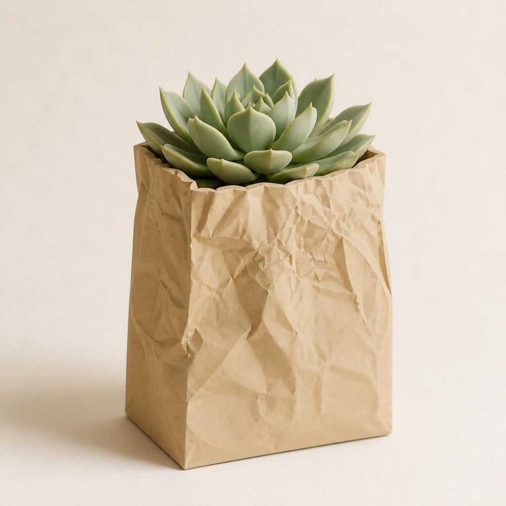 Close-up of the Small PaperMuse kraft-tan cachepot holding a succulent