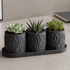 Close-up Charcoal Tessellune mini planter trio styled on a desk