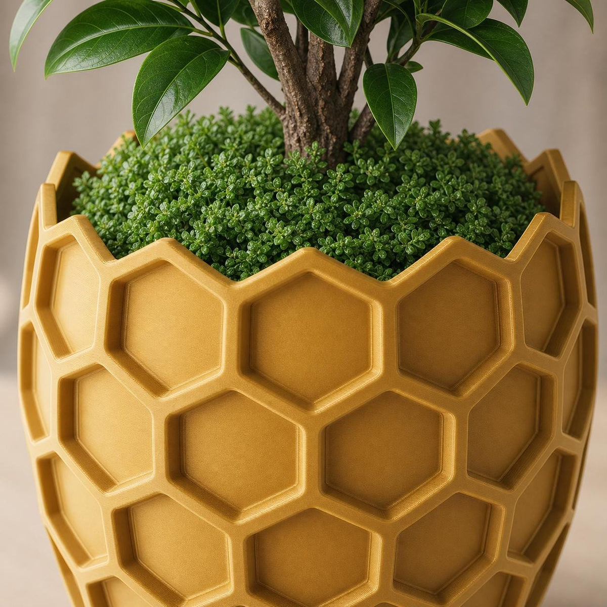 Macro close-up of the Gold HexaGrove planter showing its recessed hexagons and crown rim