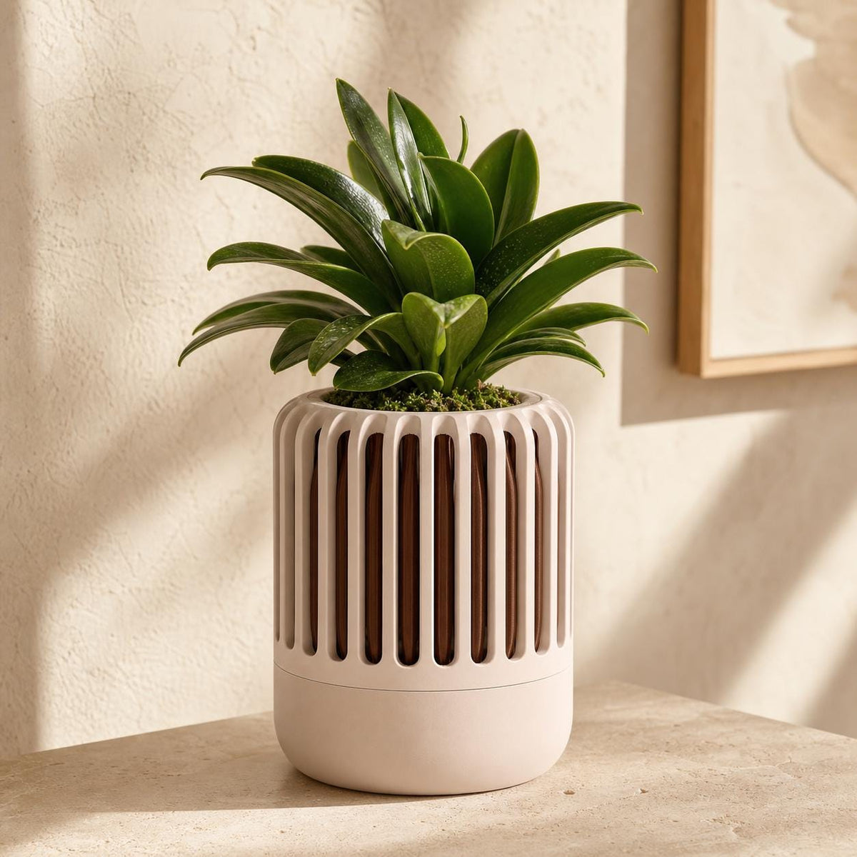 Close-up of the Airloom ventilated orchid planter in the Sandstone Grove colorway