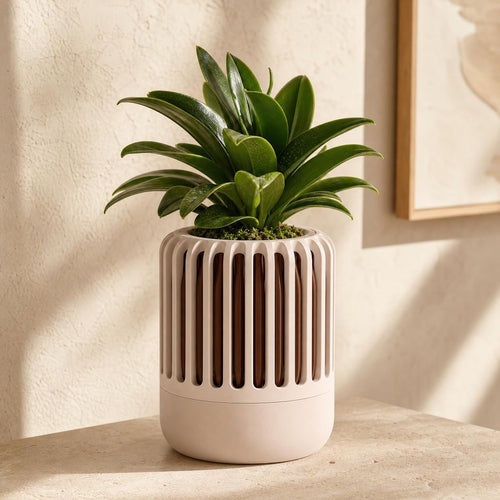 Close-up of the Airloom ventilated orchid planter in the Sandstone Grove colorway
