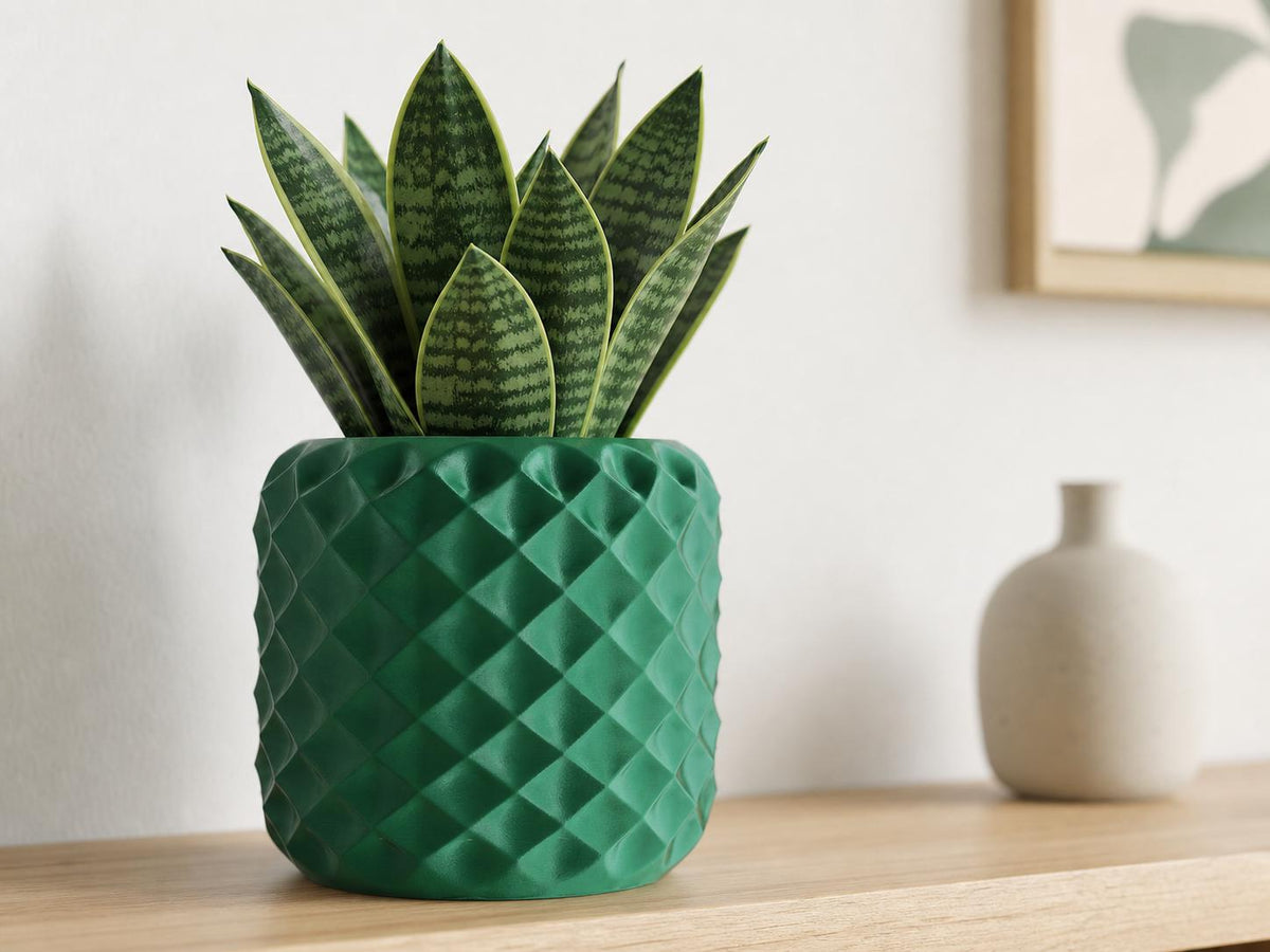 Large FacetNest indoor planter in Mistletoe Green with a compact snake plant