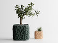 StoneCell sculptural planters in dark green and warm tan finishes with indoor plants