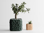 StoneCell sculptural planters in dark green and warm tan finishes with indoor plants