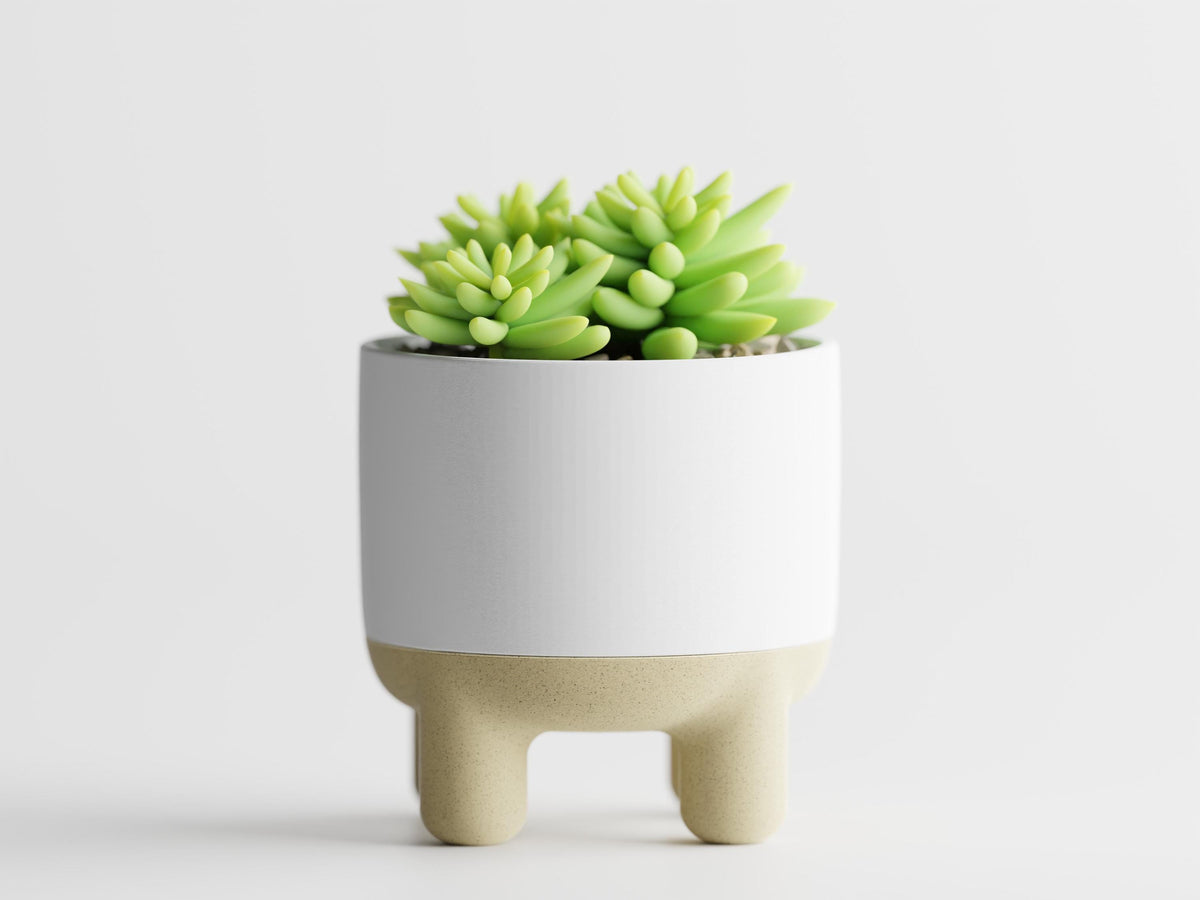 CalmRise elevated planter in Bone White and Desert Tan with a green succulent