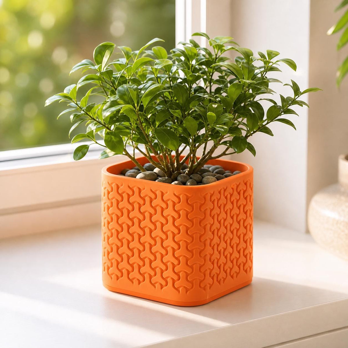 Close-up of a medium TriLoom geometric planter in Mandarin Orange with a leafy plant