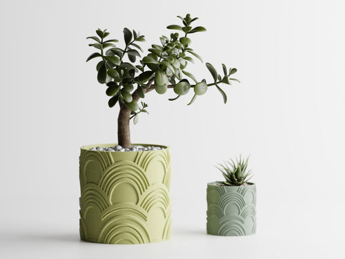Close-up size comparison of two planted ArcEcho planters with recessed arch patterns