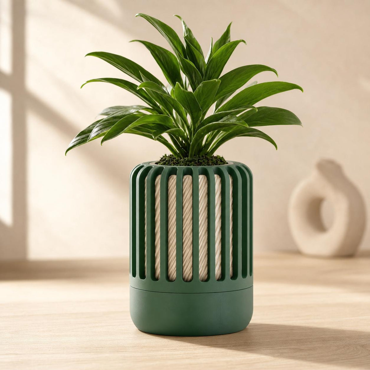 Close-up of the Reedshift optical rib planter in the Sage Stone colorway with a leafy green plant