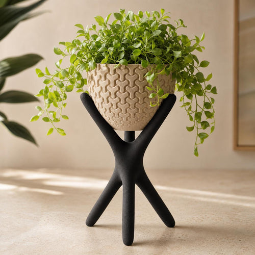 Close-up of the Large AeroNest elevated planter in Black and Beige holding a trailing green plant