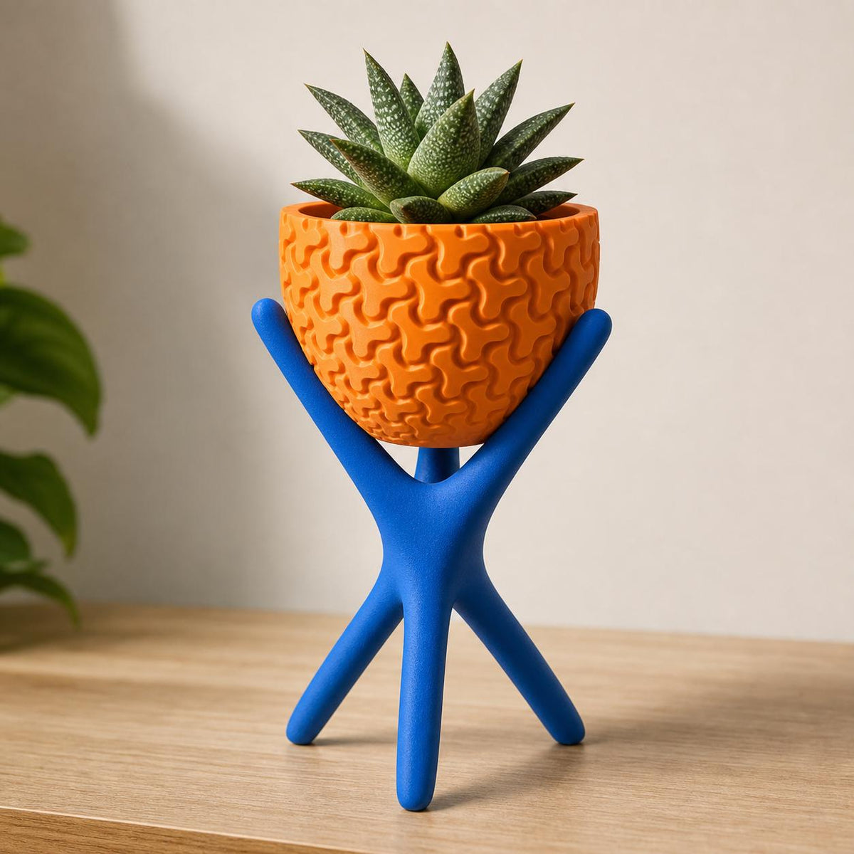 Close-up of the Large AeroNest planter in Cobalt Blue and Pumpkin Orange with a succulent