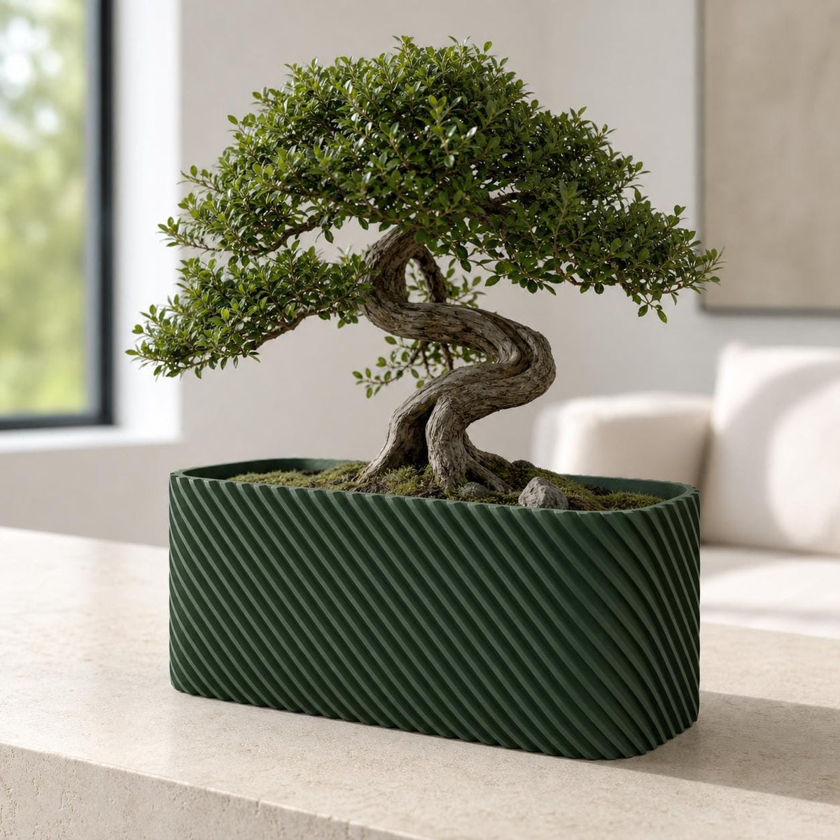 Dark Green Driftline low planter with a compact bonsai on a limestone console