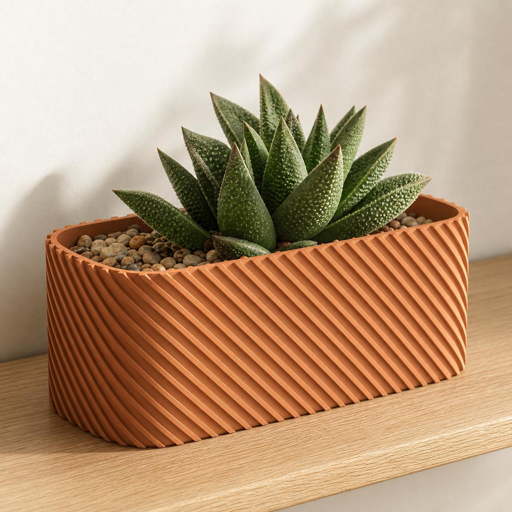 Terracotta Driftline rounded rectangle planter with a succulent on an oak shelf