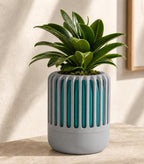 BreezeCage Orchid Pot in beige and brown holding an orchid on a bright windowsill with open arches visible.