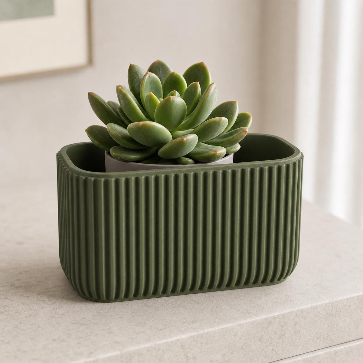 Dark Green Flutebay Desk Organizer single-compartment organizer styled with a small nursery pot