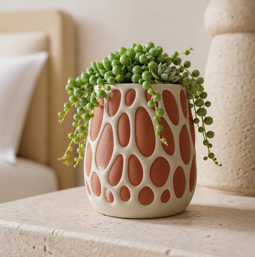 PebbleWeb Succulent Pot in bone white and terracotta holding a small succulent on a warm home-office shelf.