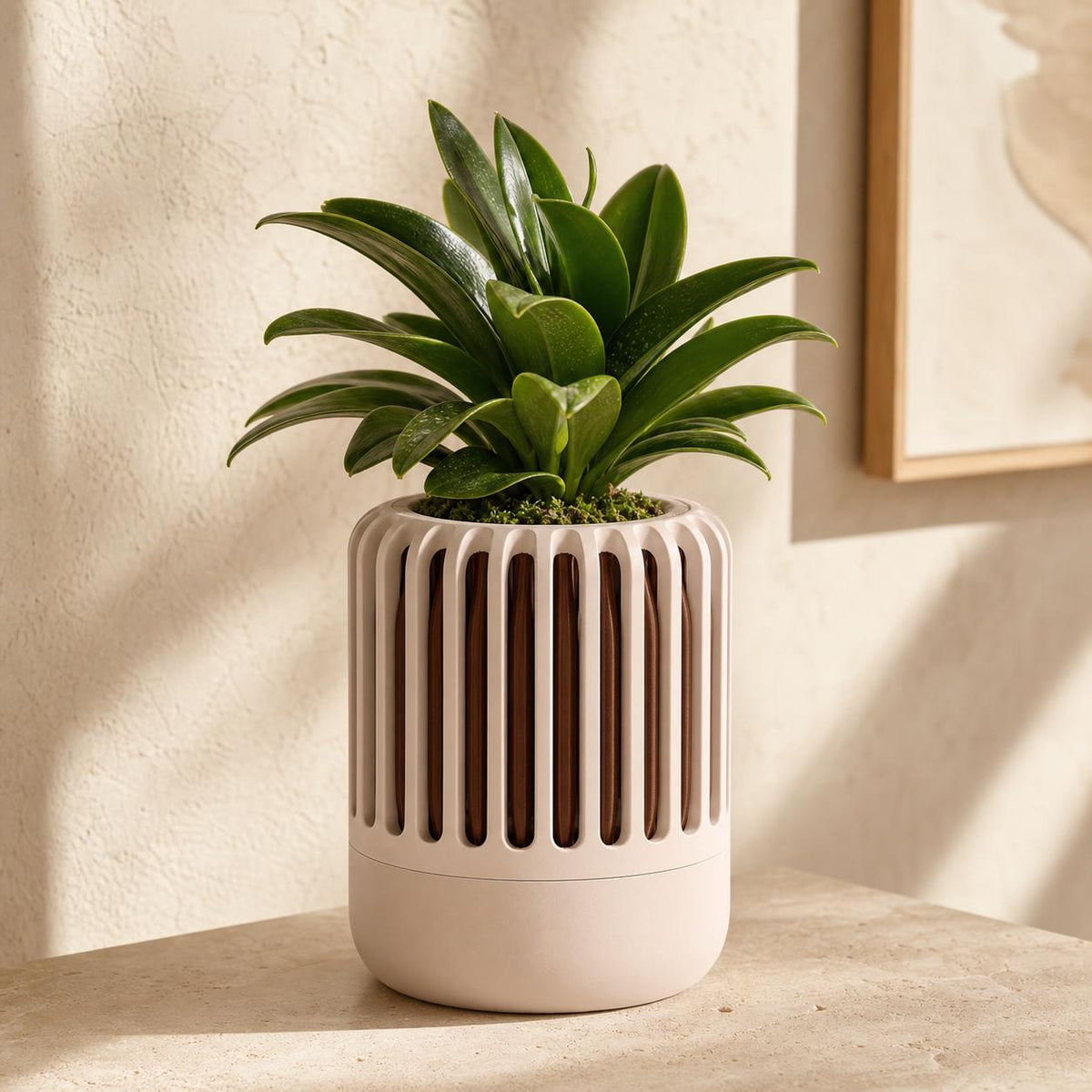 Close-up of the BreezeCage Orchid Pot in the Sandstone Grove colorway