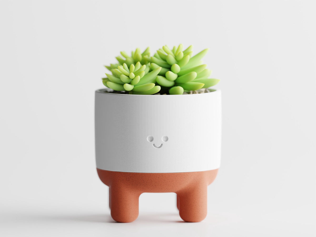CheerPod smiling planter in Bone White and Terracotta with a green succulent