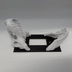 Angled side view of white marble dinosaur skull and black rocker switch plate on a plain background.